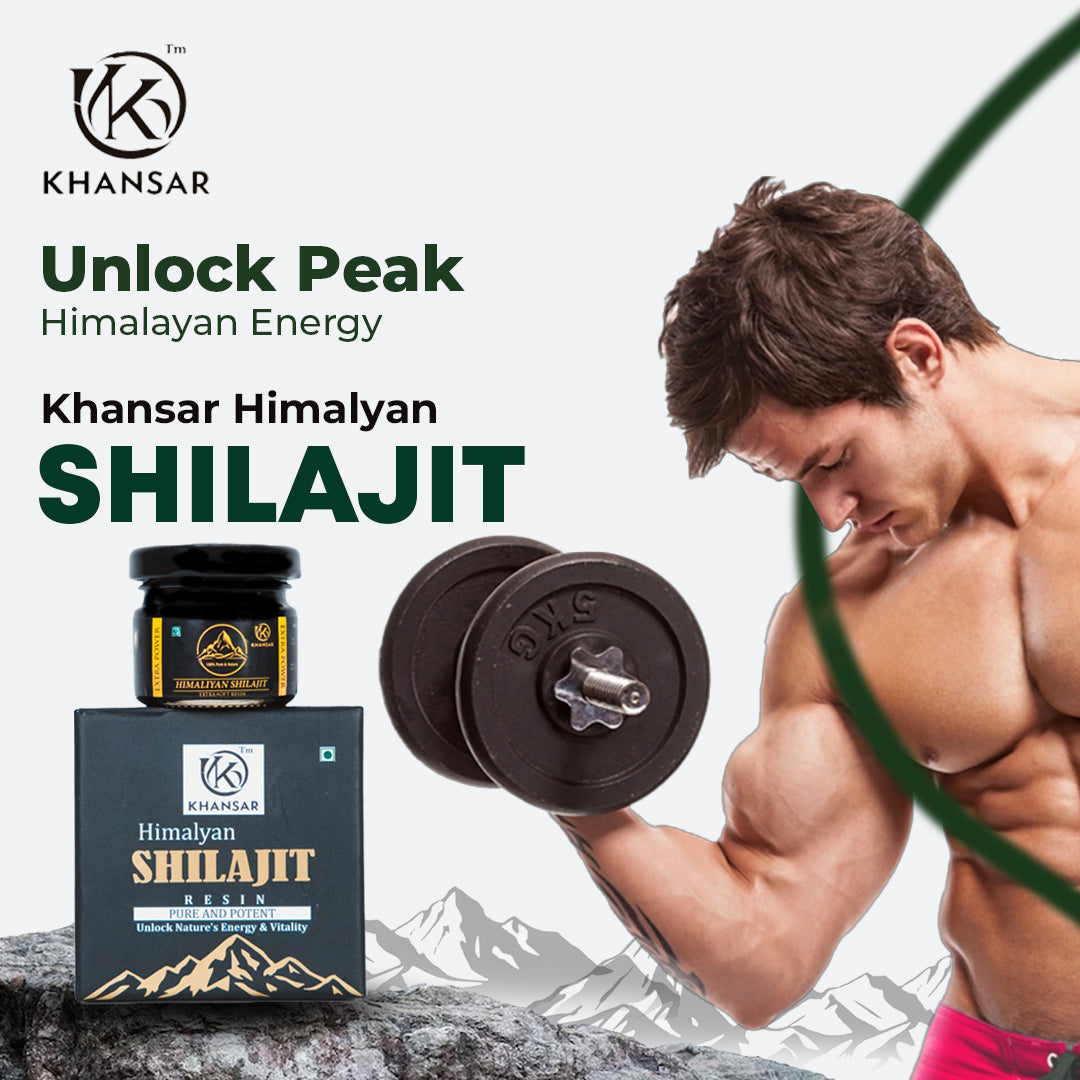 KHANSAR Himalayan Shilajit Resin - 20g