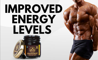 KHANSAR Himalayan Shilajit Resin - 40g  3pcs Combo