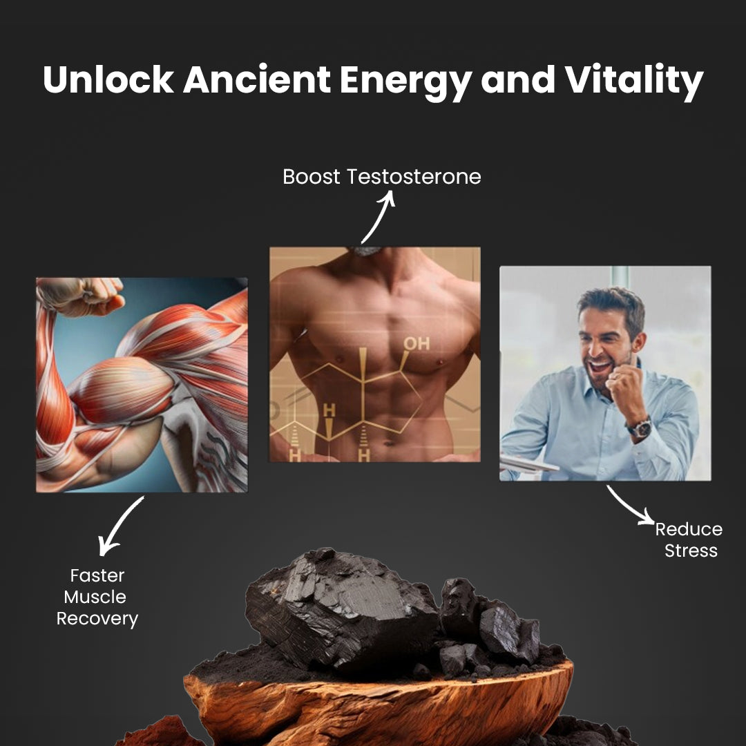 Khansar Himalayan Black Shilajit –10g Each • Total 3 Packs